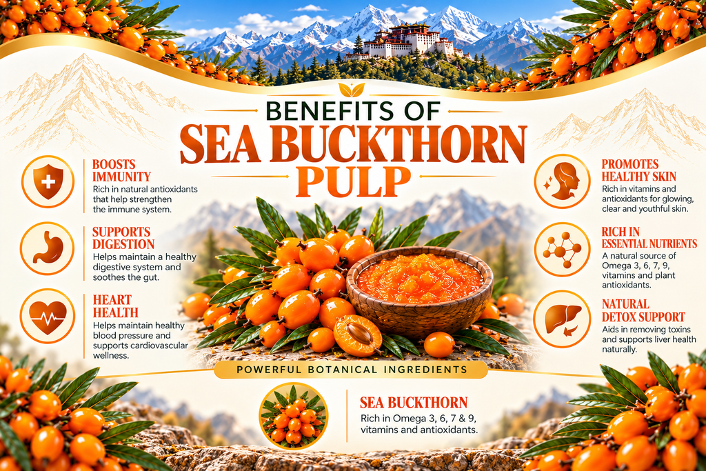 Sea Buckthorn Pulp  300ml